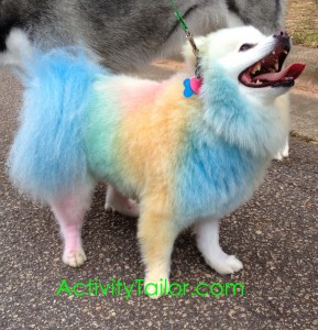 daring greatly dog crop